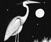 Coloriage H&eacute;ron pendant le sombre nuit