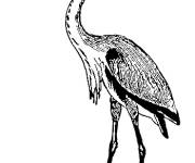 Coloriage et dessins gratuit Heron PS à imprimer