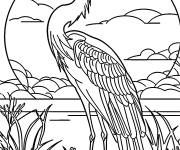 Coloriage H&eacute;ron sous le soleil