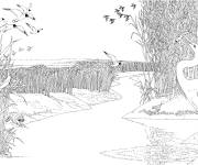 Coloriage H&eacute;ron sur le lac