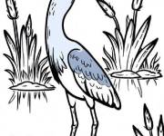 Coloriage H&eacute;ron sur un &eacute;tang