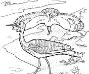 Coloriage H&eacute;rons Caurale soleil
