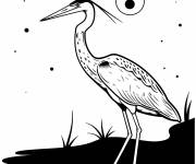 Coloriage Illustration d'un H&eacute;ron dans la nuit