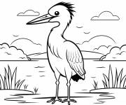 Coloriage Illustration d'un petit H&eacute;ron bleu