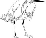 Coloriage Illustration h&eacute;ron