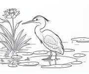 Coloriage Le petit h&eacute;ron bleu dans la nature