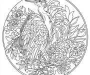 Coloriage Mandala h&eacute;ron r&eacute;aliste