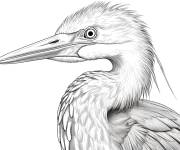 Coloriage Oiseau h&eacute;ron bleu