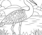 Coloriage Oiseau h&eacute;ron complexe