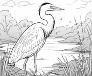 Coloriage Paysage d'un heron bleu dans le lac