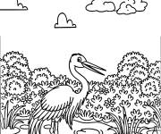 Coloriage Paysage de h&eacute;ron dans le marais