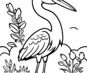 Coloriage Petit h&eacute;ron en aventure