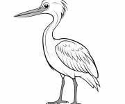 Coloriage Petit h&eacute;ron minimaliste