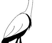 Coloriage  Héron