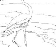 Coloriage et dessins gratuit Sc&egrave;ne du grand h&eacute;ron bleu à imprimer