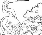 Coloriage Sc&egrave;ne h&eacute;ron au crayon