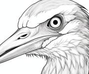 Coloriage T&ecirc;te d'un h&eacute;ron bleu d&eacute;taill&eacute;