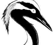 Coloriage T&ecirc;te de H&eacute;ron en noir
