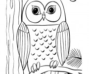 Coloriage Hibou avec grosse yeux