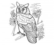 Coloriage et dessins gratuit Hibou dans la nature à imprimer