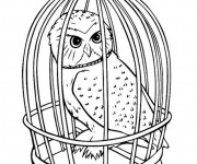 Coloriage Hibou dans son cage