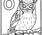 Coloriage Hibou effrayant