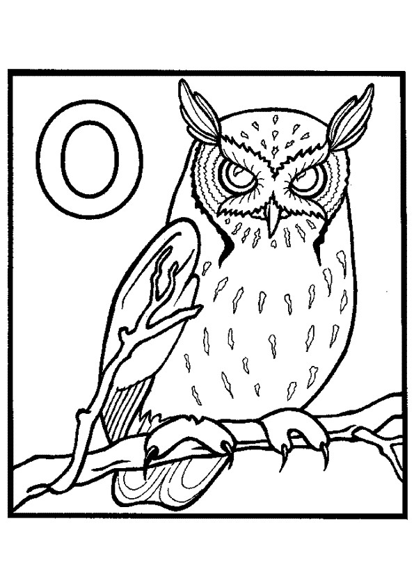 Coloriage Hibou gratuit  imprimer  liste 20  40