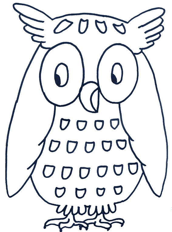 Coloriage Hibou gratuit à imprimer liste 20 à 40