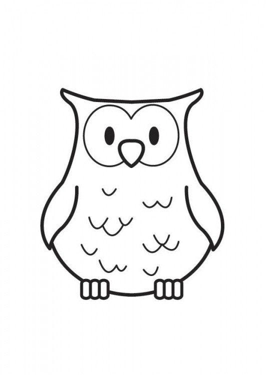 Coloriage Hibou Facile Dessin Gratuit à Imprimer