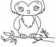 Coloriage et dessins gratuit Hibou mignonne à imprimer