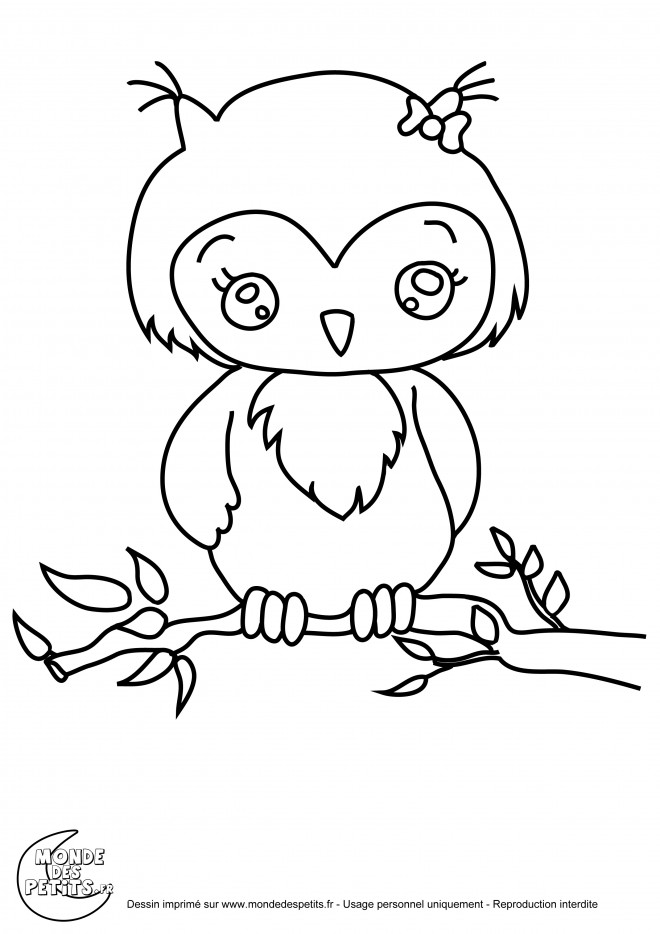 Coloriage Hibou Mignonne Dessin Gratuit à Imprimer