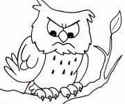 Coloriage Hibou nerveux