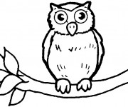 Coloriage Hibou pour enfant