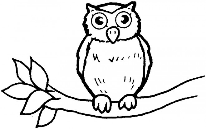 Coloriage Hibou Gratuit A Imprimer