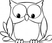 Coloriage Hibou regarde en dessous