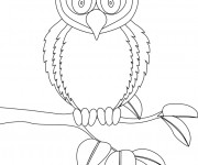 Coloriage Hibou surpris