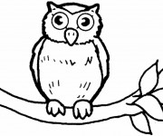 Coloriage Hibou te regarde