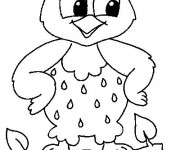 Coloriage Petit Hibou