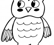 Coloriage Un beau Hibou