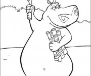 Coloriage Hippopotame de Madagascar