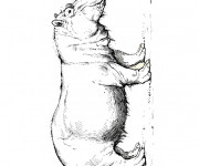 Coloriage Hippopotame noir et blanc