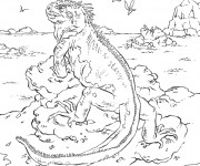 Coloriage Iguane dans une île