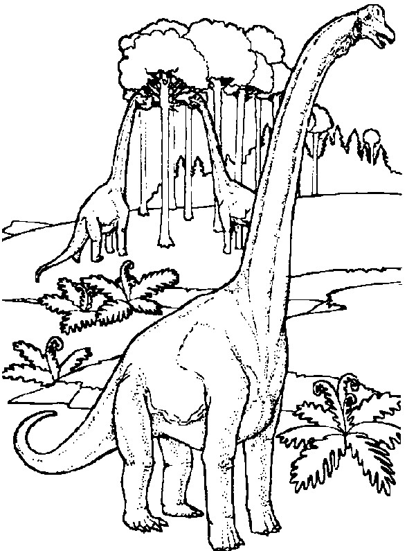 Coloriage Dinosaures herbivores dessin gratuit à imprimer