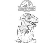 Coloriage et dessins gratuit B&eacute;b&eacute; dinosaure simple à imprimer