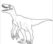 Coloriage et dessins gratuit Dinosaure styl&eacute; de Jurassic World à imprimer