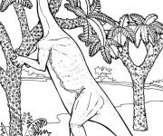 Coloriage Jungle de Jurassic World