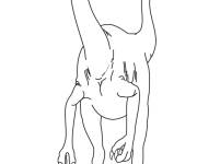 Coloriage et dessins gratuit Petit Coelurus à imprimer