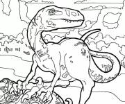 Coloriage Velocirapto de monde jurassique
