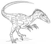 Coloriage Velociraptor de Jurassic World