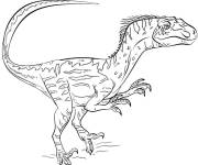 Coloriage et dessins gratuit Velociraptor Jurassic à imprimer